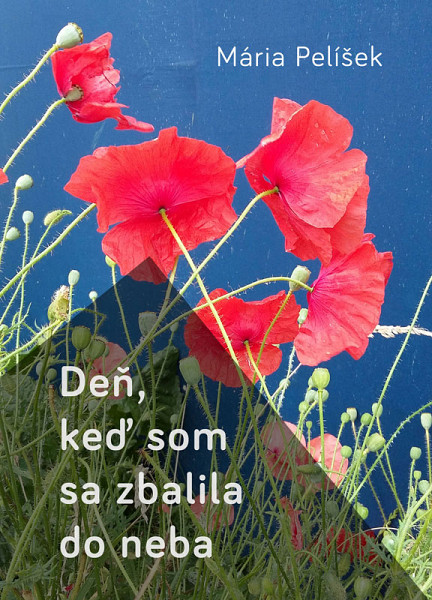 E-kniha Deň, keď som sa zbalila do neba