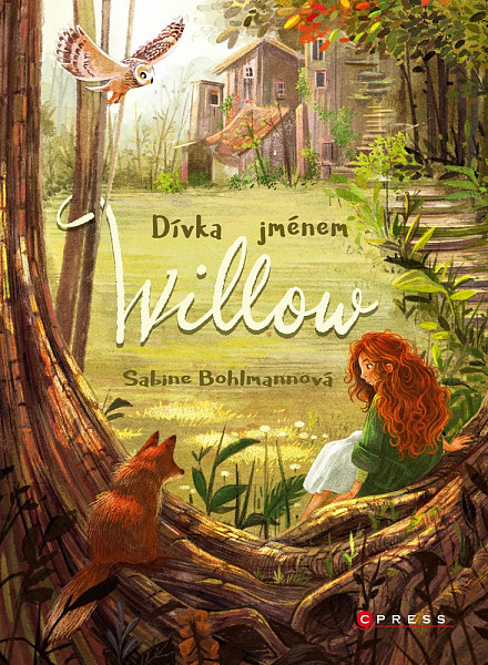 E-kniha Dívka jménem Willow