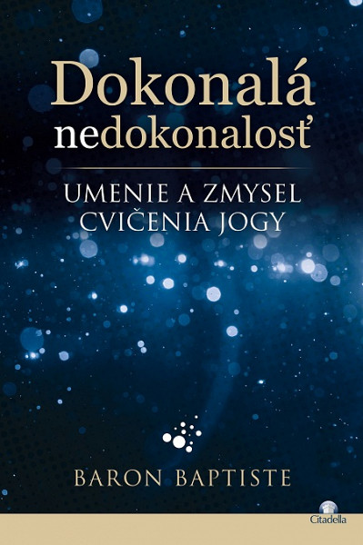 E-kniha Dokonalá nedokonalosť