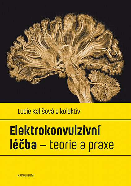E-kniha Elektrokonvulzivní léčba – teorie a praxe