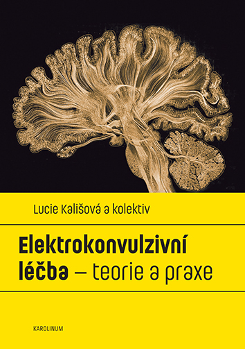 E-kniha Elektrokonvulzivní léčba – teorie a praxe