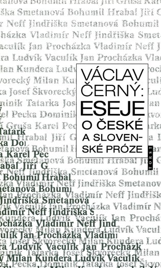 E-kniha Eseje o české a slovenské próze