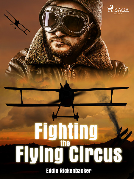 E-kniha Fighting the Flying Circus