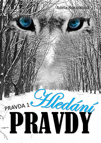 E-kniha Hledání pravdy