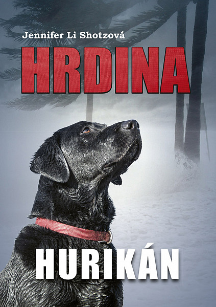 E-kniha Hrdina: Hurikán