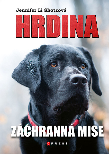 E-kniha Hrdina: Záchranná mise