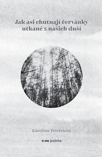 E-kniha Jak asi chutnají červánky utkané z našich duší