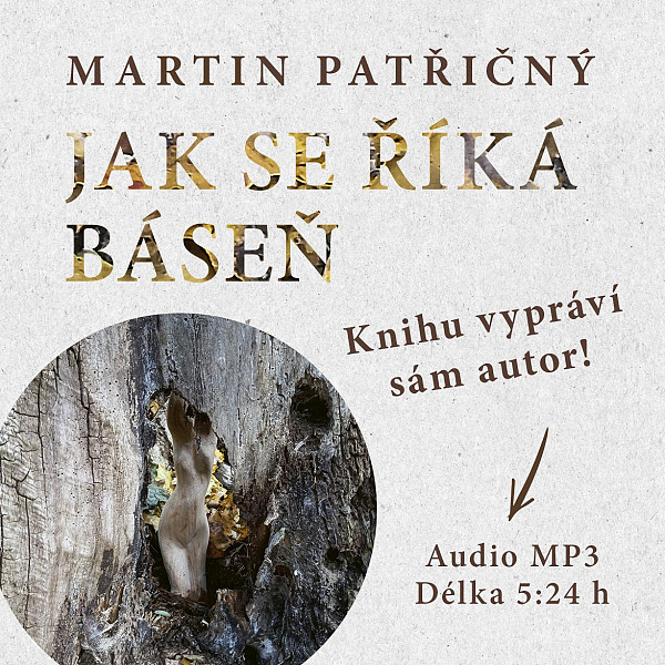 E-kniha Jak se říká báseň