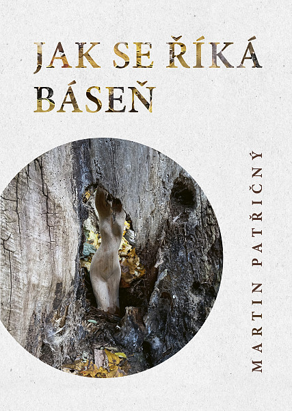 E-kniha Jak se říká kniha