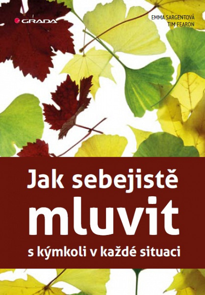 E-kniha Jak sebejistě mluvit s kýmkoli v každé situaci