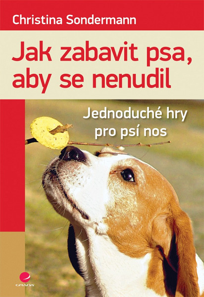 E-kniha Jak zabavit psa, aby se nenudil