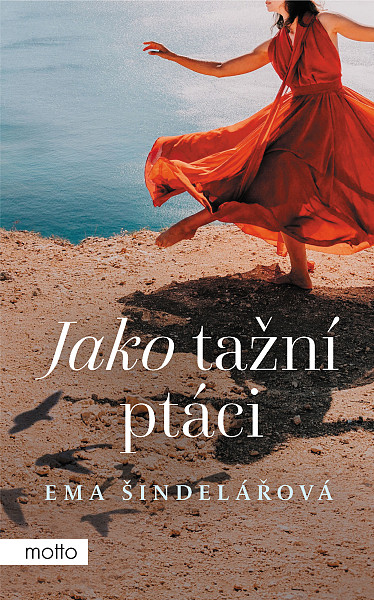 E-kniha Jako tažní ptáci