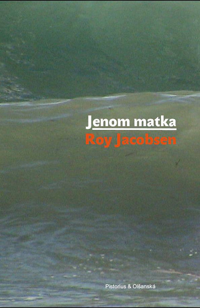 E-kniha Jenom matka