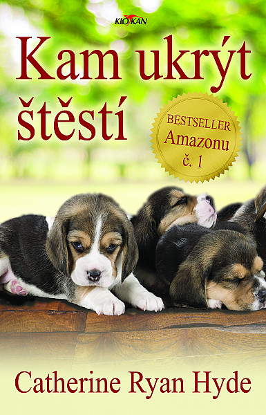 E-kniha Kam ukrýt štěstí