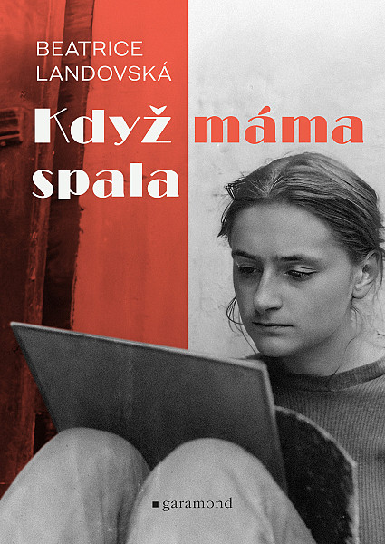 E-kniha Když máma spala