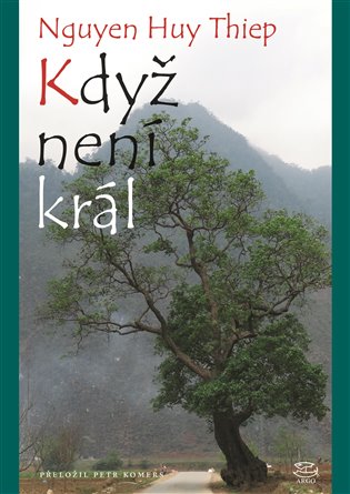 E-kniha Když není král