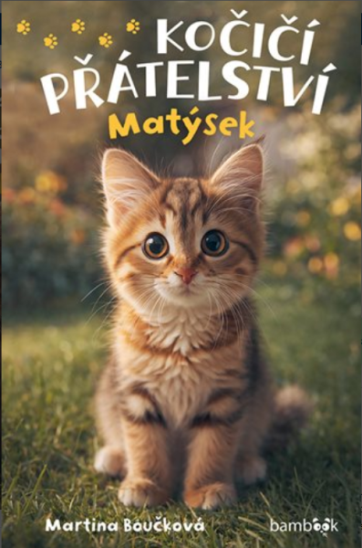 E-kniha Kočičí přátelství - Matýsek