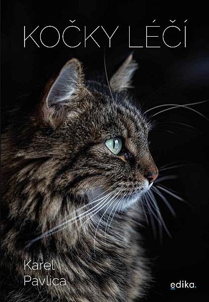 E-kniha Kočky léčí