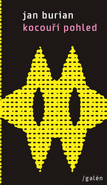 E-kniha Kocouří pohled