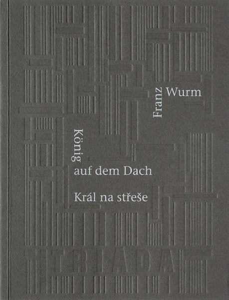 E-kniha Král na střeše