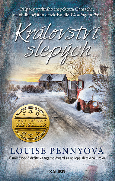 E-kniha Království slepých