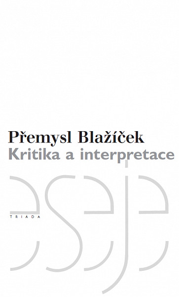 E-kniha Kritika a interpretace