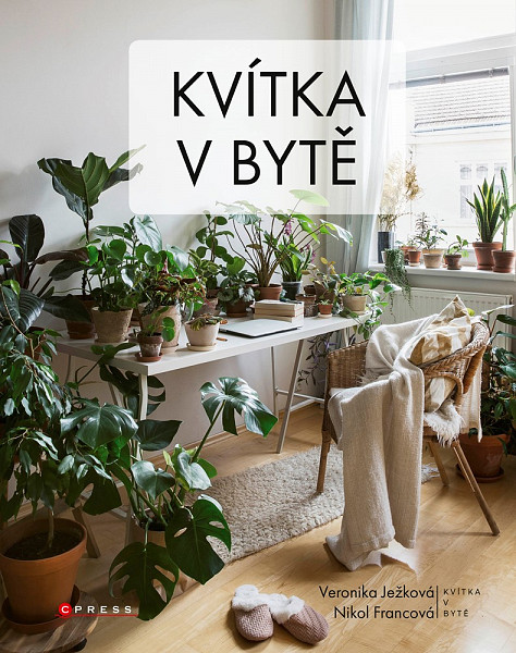 E-kniha Kvítka v bytě