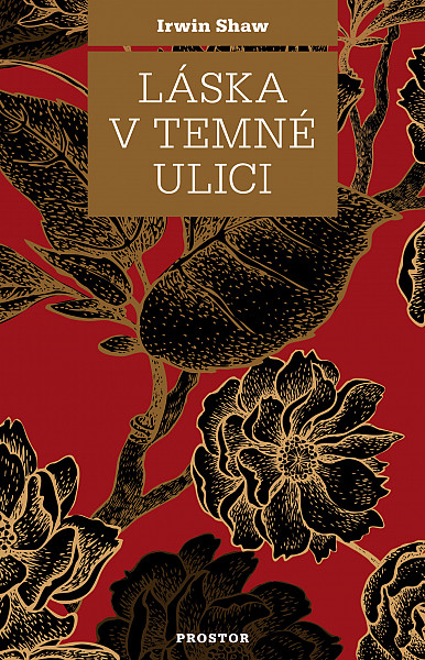 E-kniha Láska v temné ulici