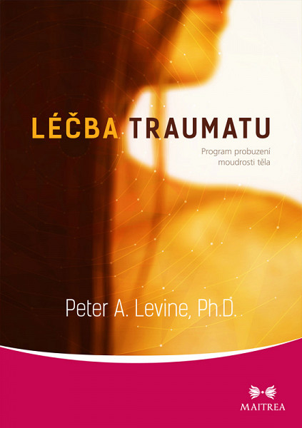 E-kniha Léčba traumatu