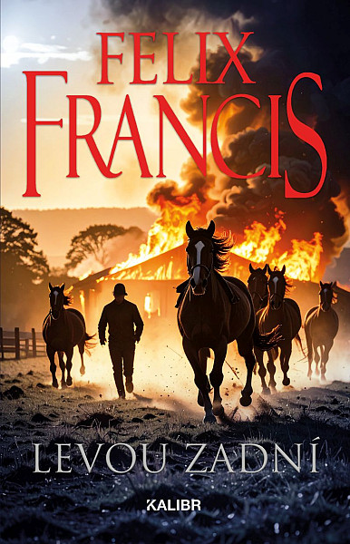 E-kniha Levou zadní