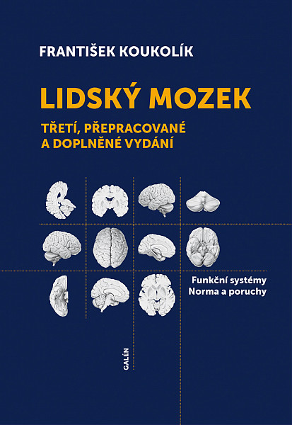 E-kniha Lidský mozek