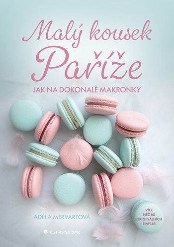 E-kniha Malý kousek Paříže