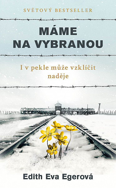 E-kniha Máme na vybranou