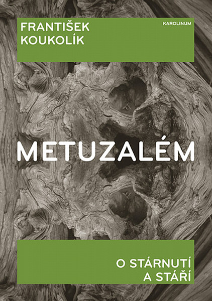 E-kniha Metuzalém