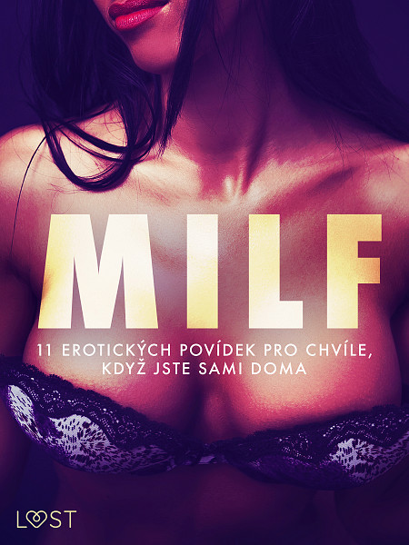 E-kniha MILF: 11 erotických povídek pro chvíle, když jste sami doma