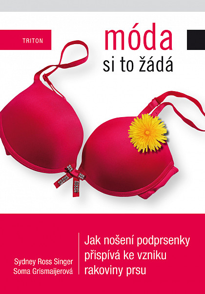 E-kniha Móda si to žádá