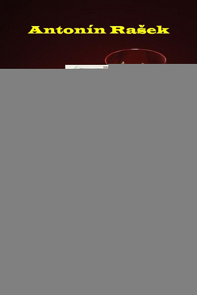 E-kniha Monolog staré dámy