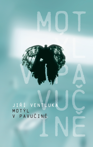 E-kniha Motýl v pavučině