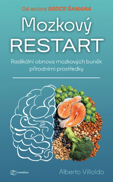 E-kniha Mozkový restart