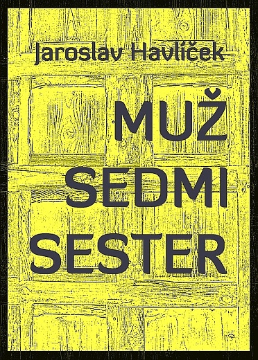 E-kniha Muž sedmi sester