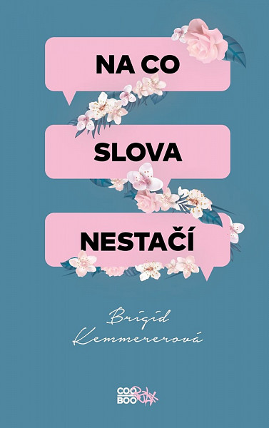 E-kniha Na co slova nestačí