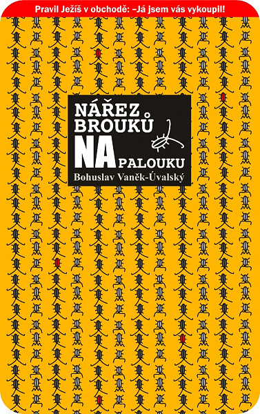 E-kniha Nářez brouků na palouku