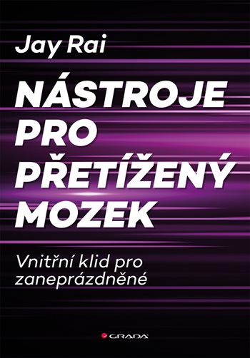 E-kniha Nástroje pro přetížený mozek