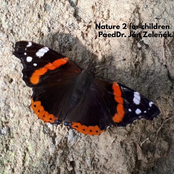 E-kniha Nature for children, part 2