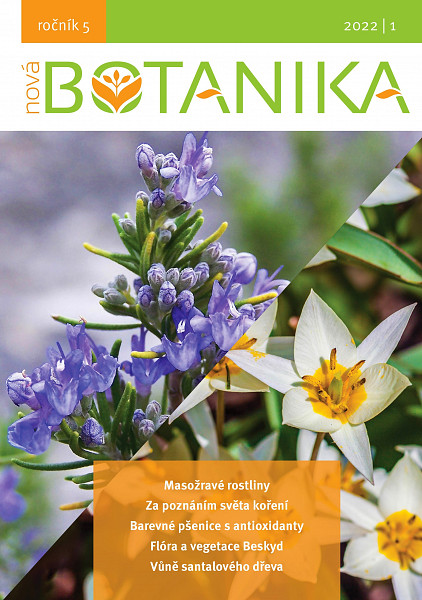E-kniha Nová Botanika