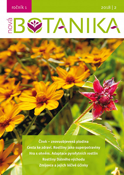 E-kniha Nová Botanika