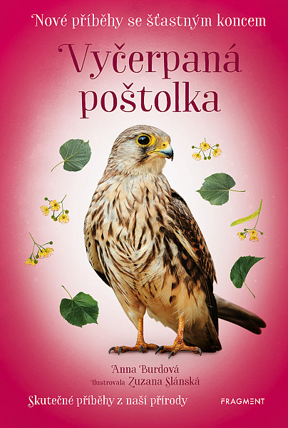 E-kniha Nové příběhy se šťastným koncem – Vyčerpaná poštolka