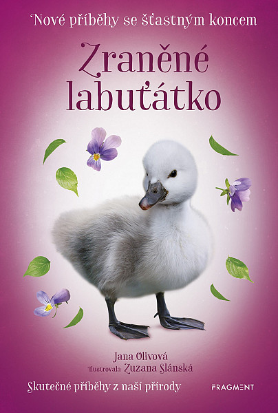 E-kniha Nové příběhy se šťastným koncem – Zraněné labuťátko