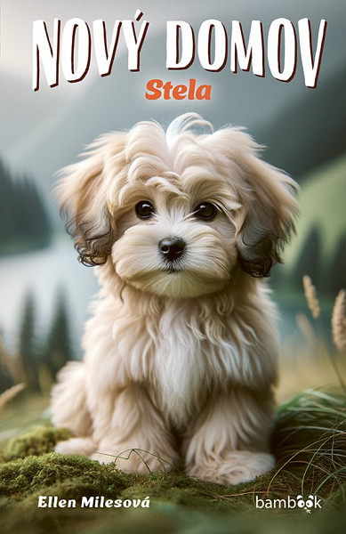 E-kniha Nový domov – Stela