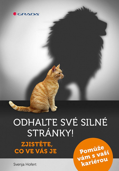E-kniha Odhalte své silné stránky!